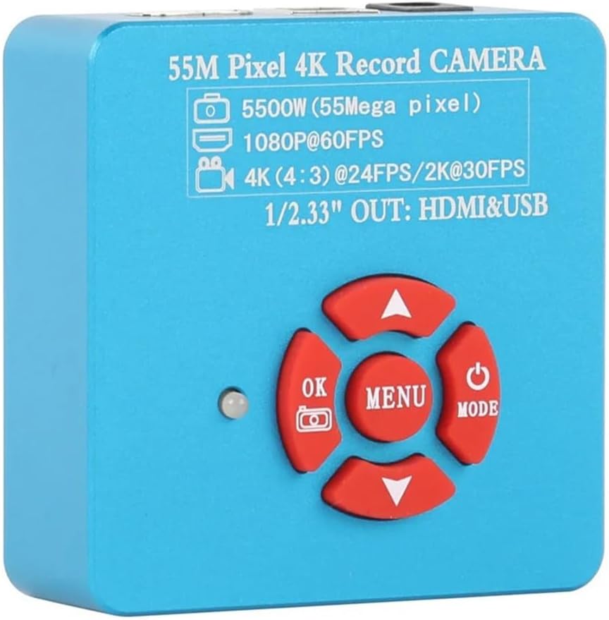 平井千香子 金と銀 鳳凰図 縦104㎝ 横170㎝ F100号 真贋保証 肉筆